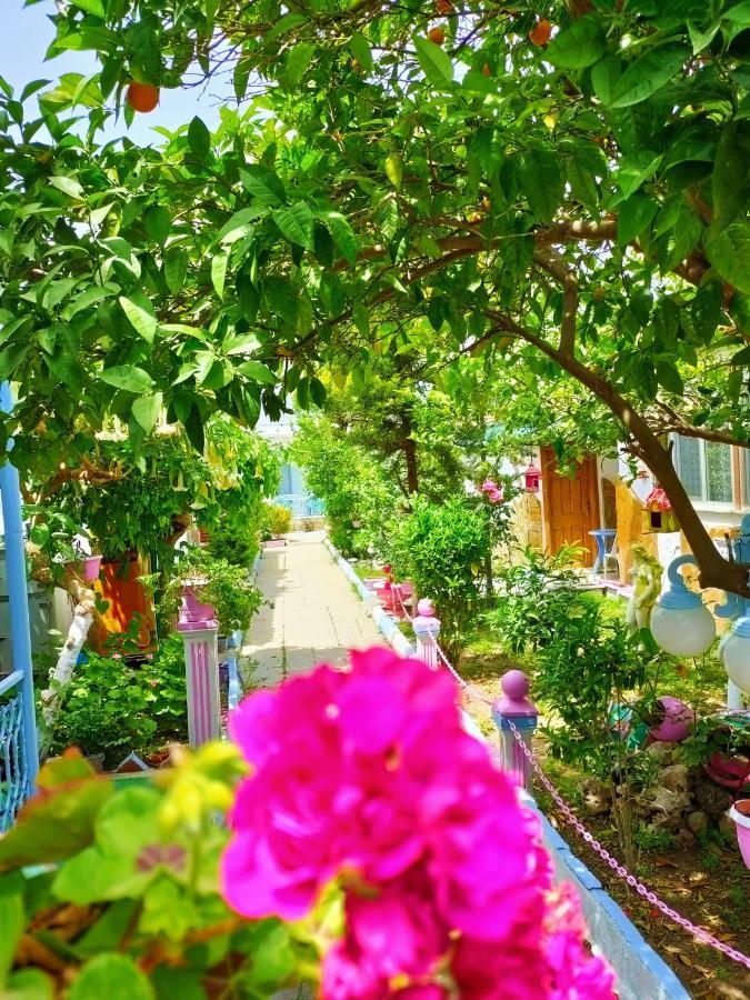Side Erenler Hotel 外观 照片