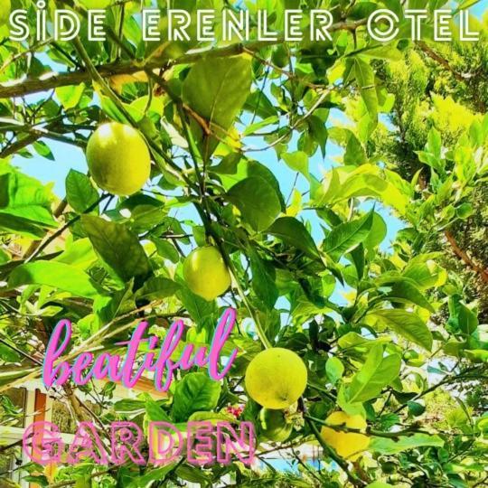 Side Erenler Hotel 外观 照片