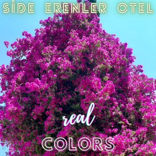 Side Erenler Hotel 外观 照片